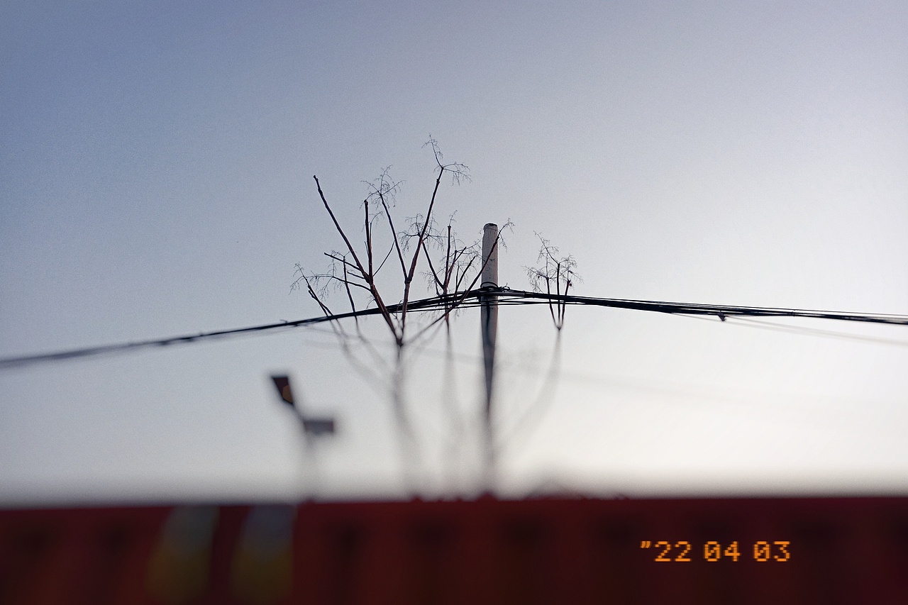 《春天风景记录》