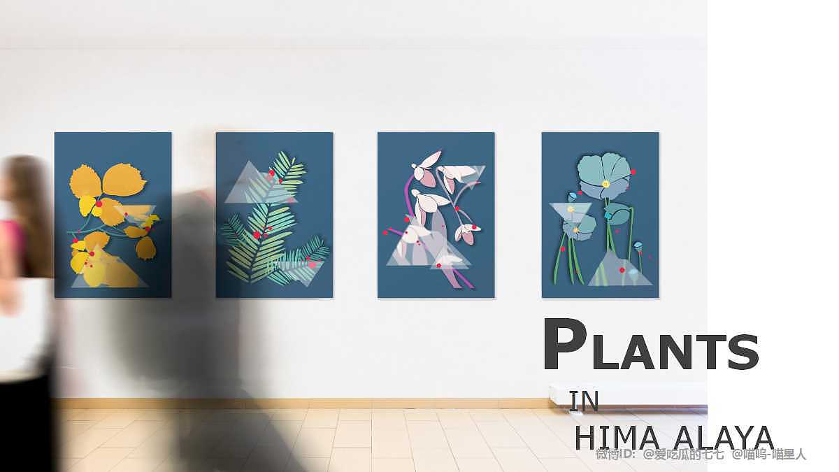 《生息》基于喜马拉雅元素进行的平面设计（一）（图ZMTAyNjk4Nzg0） - 品牌 - 站酷设计师喵了个日狗原创素材 - 站酷ZCOOL