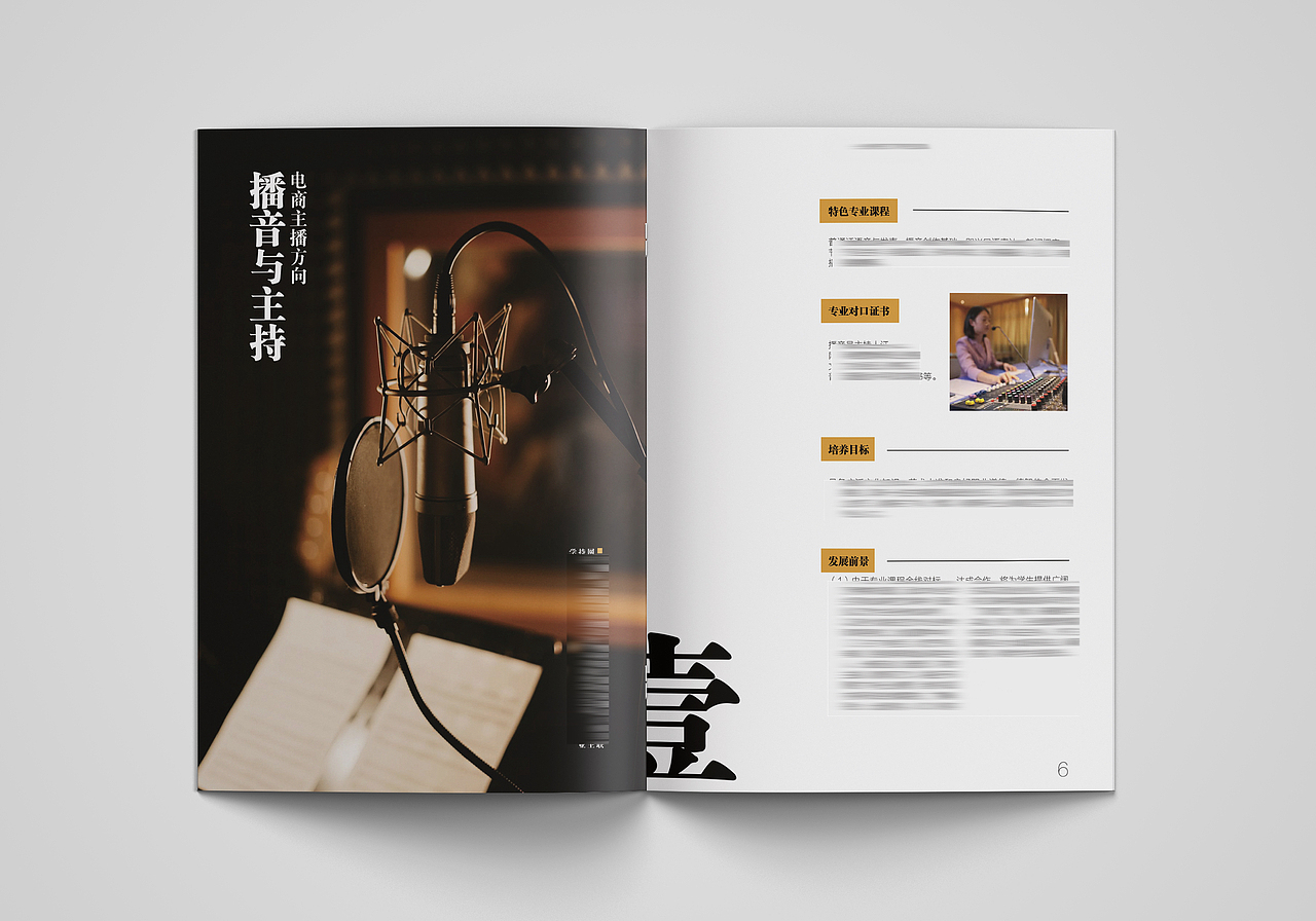 学校宣传册设计2022（图ZMzY3MzEyMDg0） - 书籍/画册 - 站酷设计师金炸辣饼原创素材 - 站酷ZCOOL