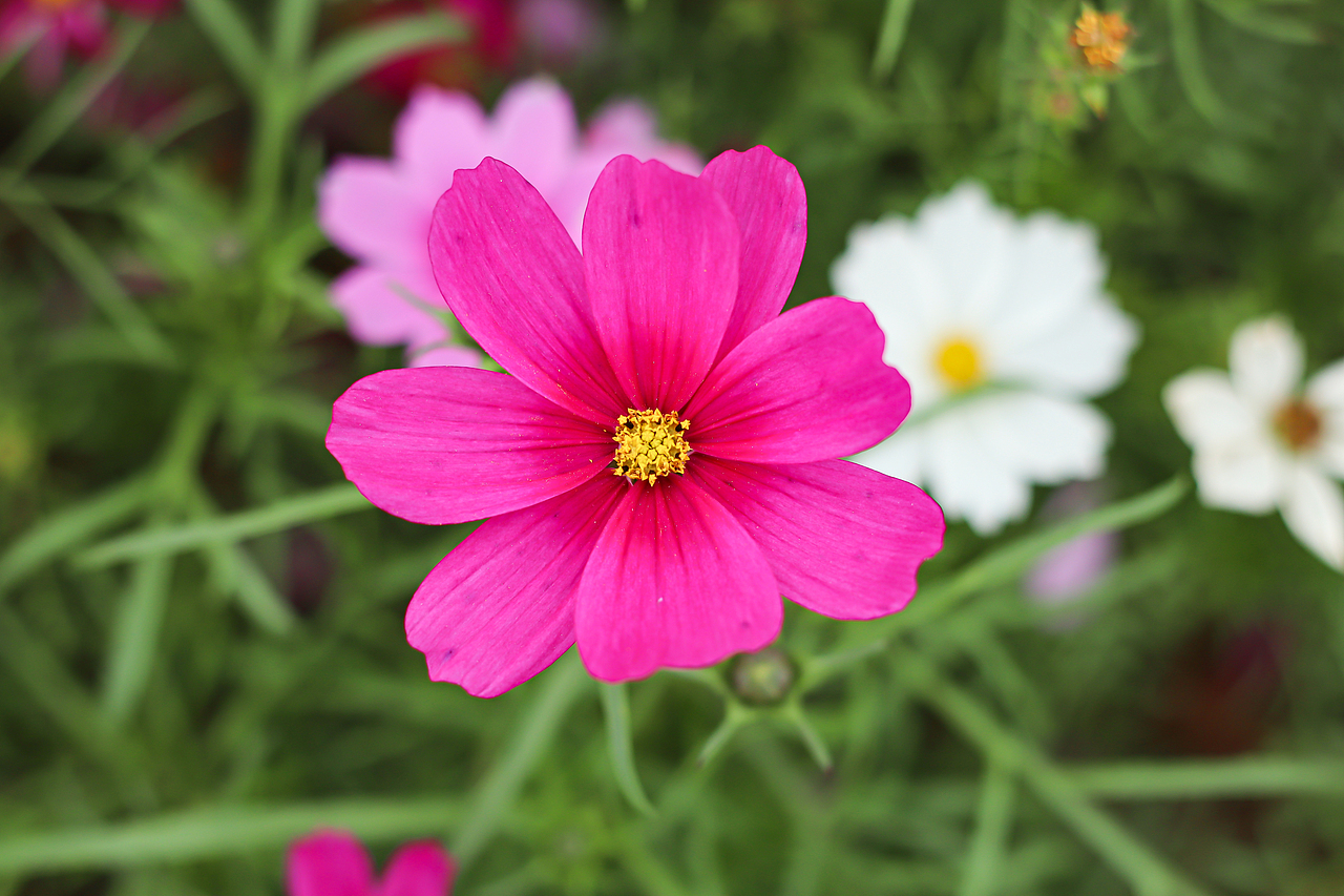 春醒（图ZMTk0Mjk1NTky） - 产品摄影 - 站酷设计师穿鞋一米六原创素材 - 站酷ZCOOL