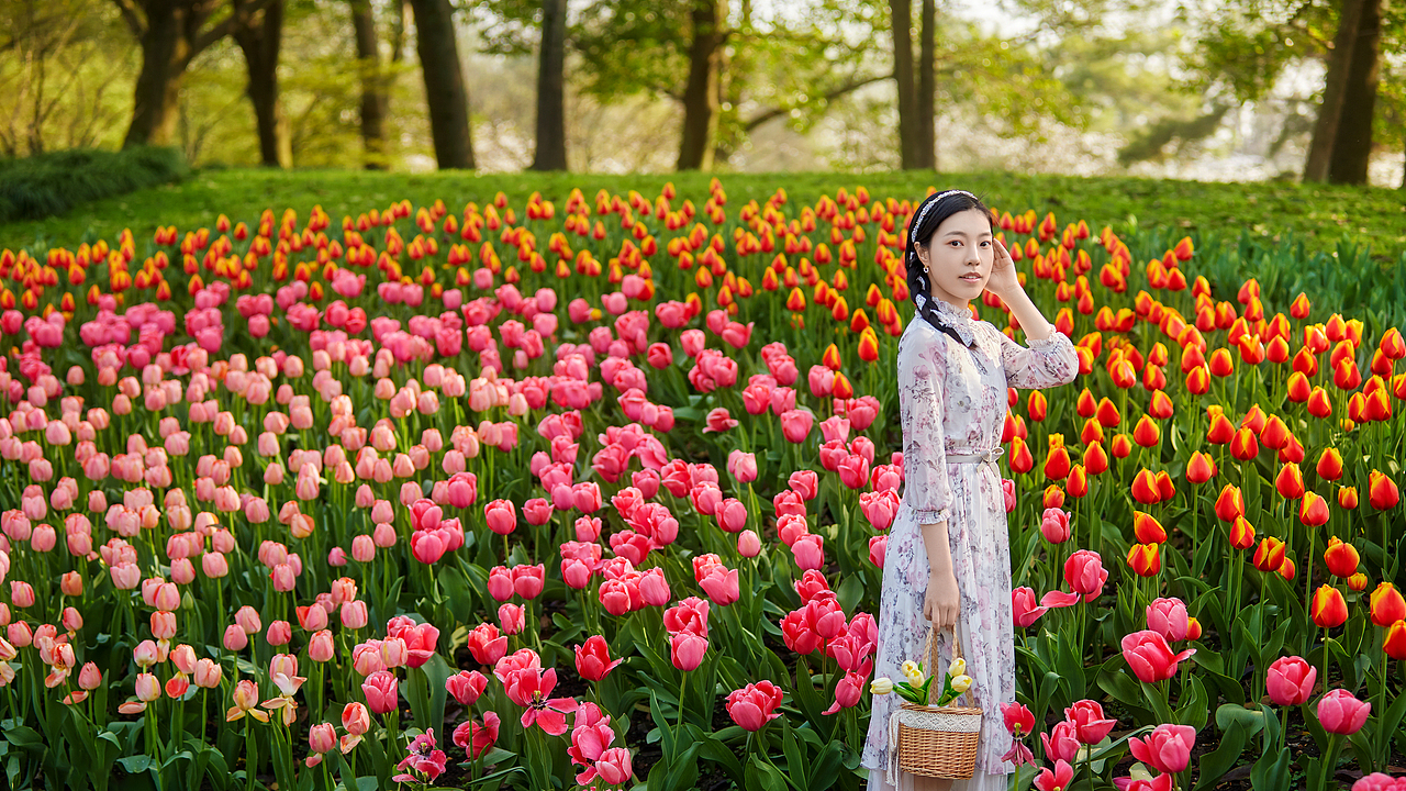 郁金香（圖ZMjkzNTQ5MTMy） - 人像攝影 - 站酷設(shè)計師醉途行攝原創(chuàng)素材 - 站酷ZCOOL