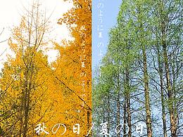 一張照片一張海報(bào)，生活就是風(fēng)景