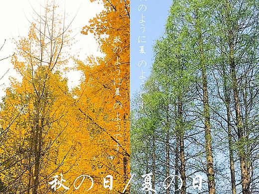 一张照片一张海报，生活就是风景