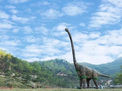 广东仿真恐龙展主题公园售楼中心商场恐龙厂家优惠出租（个人主页-ZMzM1Mjc1ODA=） - 工业用品/机械 - 站酷设计师A恐龙灯光机器人原创素材 - 站酷ZCOOL