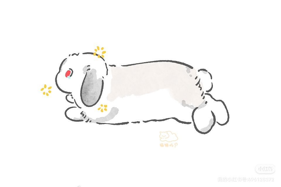 猫咪照片转可爱插画,定制图