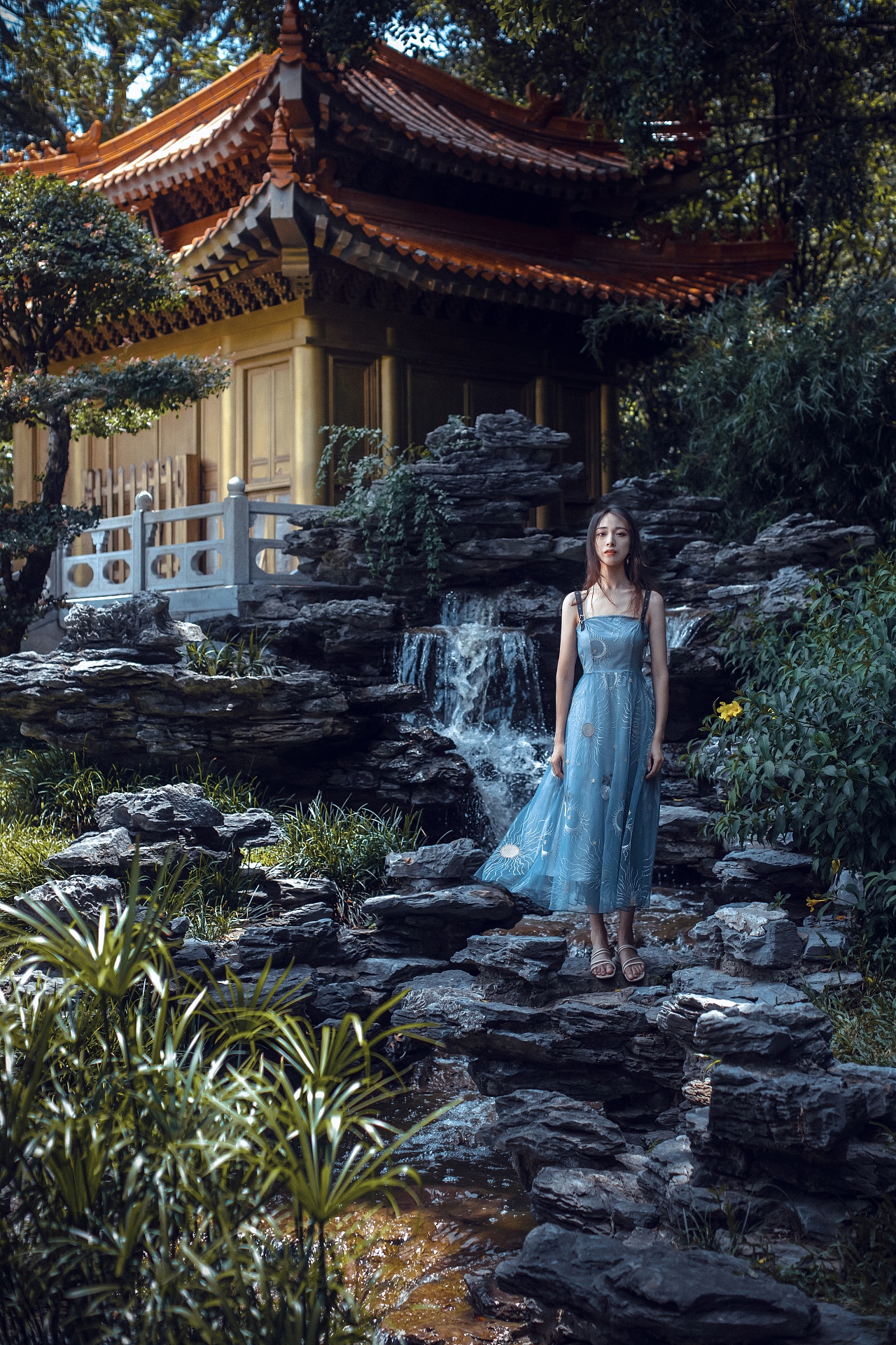 一景一物,一动一静,自然而然的静怡