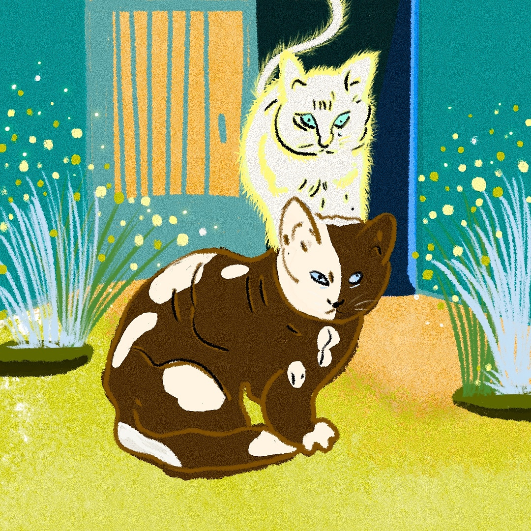 猫；流浪猫（图ZMjk1NzAwMjI0） - 绘本 - 站酷设计师美人椒椒原创素材 - 站酷ZCOOL