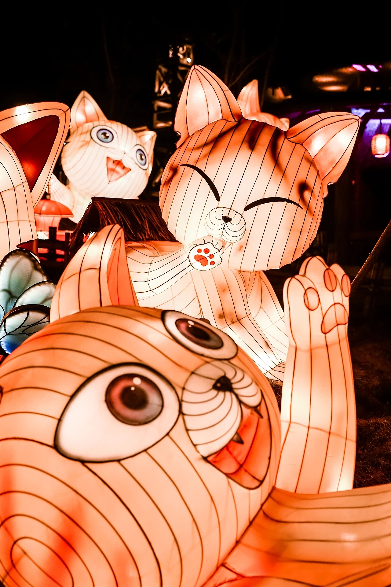 建业华谊小镇(猫包围主题灯会)