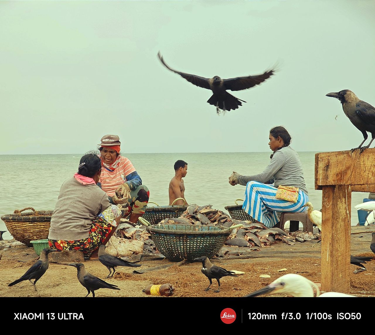 斯里兰卡纪实瞬间影像