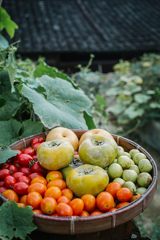 「山林食纪之丙申」山中岁月,海上心情