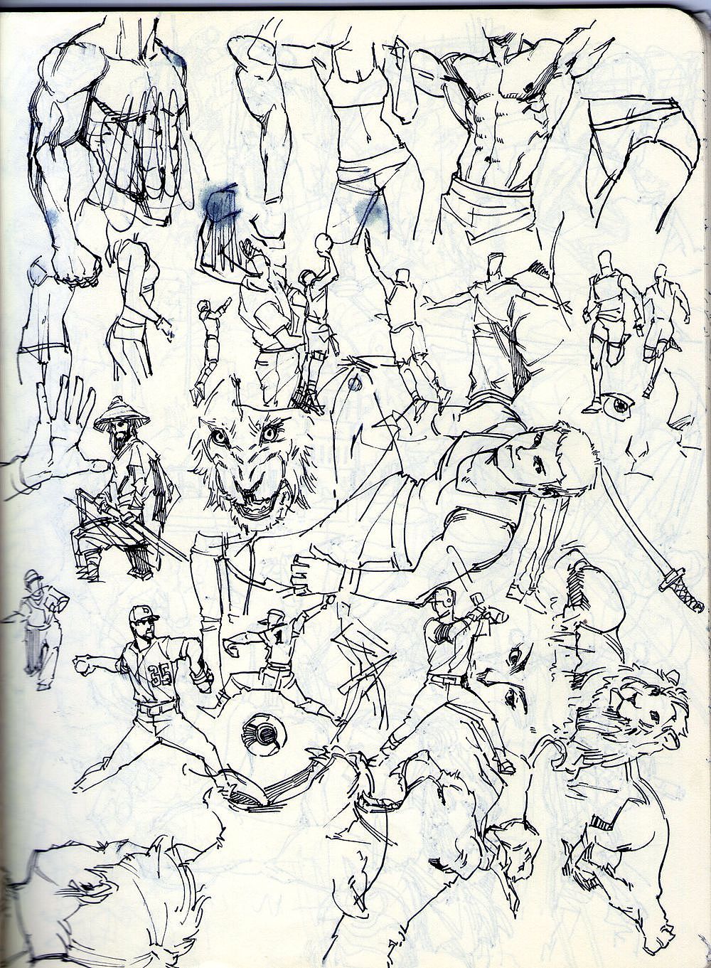 夹心山楂的随笔速写