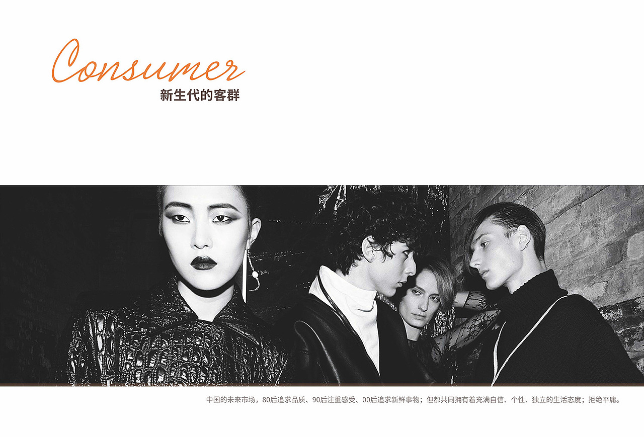 品牌企划案/商业计划书 节选（图ZMjk0Njk5NTEy） - 品牌 - 站酷设计师Brown_Chung原创素材 - 站酷ZCOOL