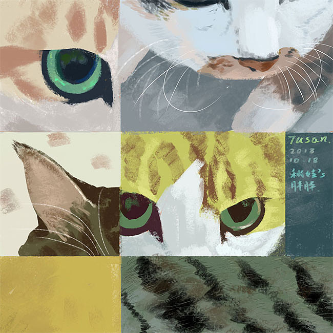 又画了10只猫（图ZMTg2NDE3ODEy） - 艺术插画 - 站酷设计师Tusan了了原创素材 - 站酷ZCOOL