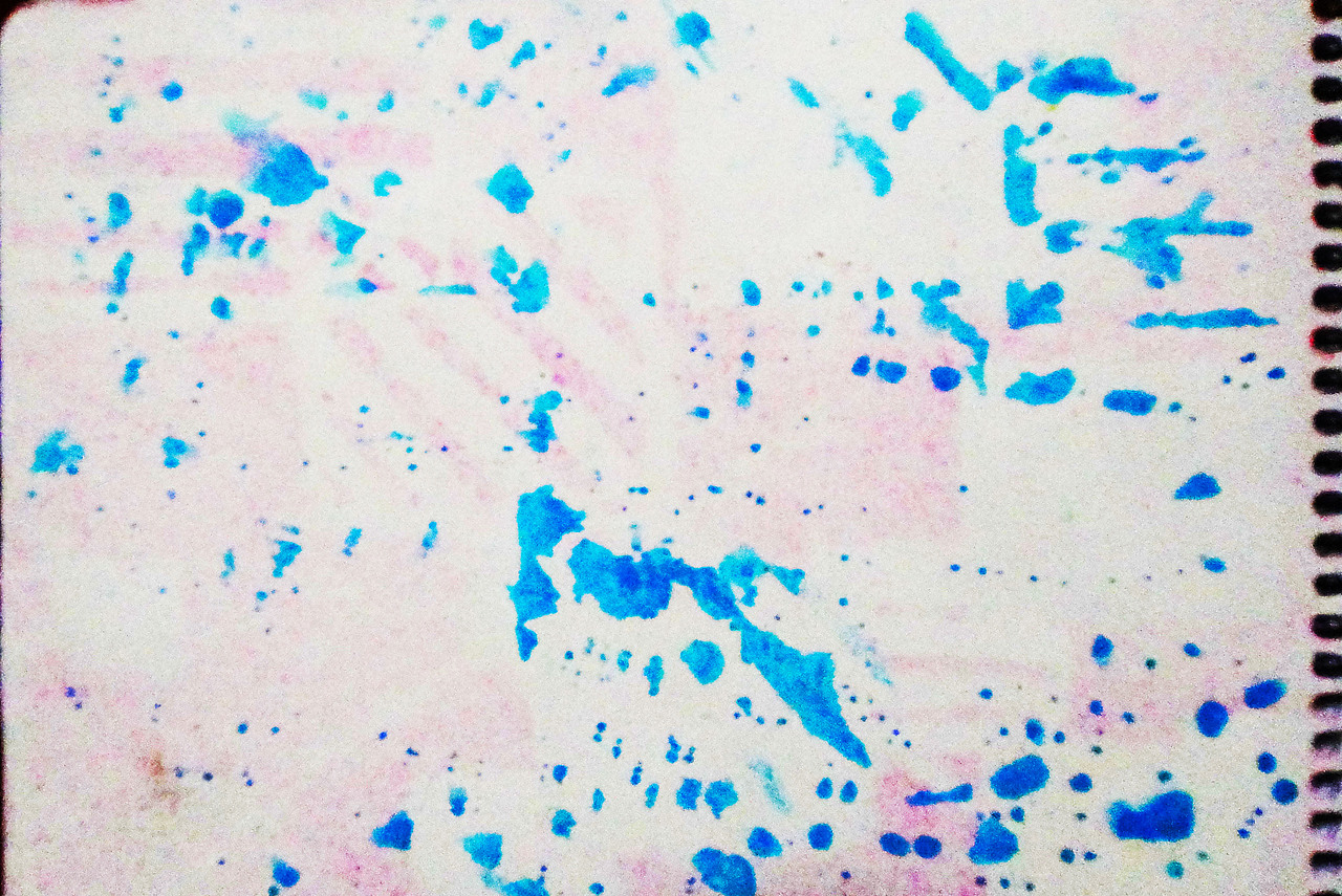 2012云南,靠,毛都没去