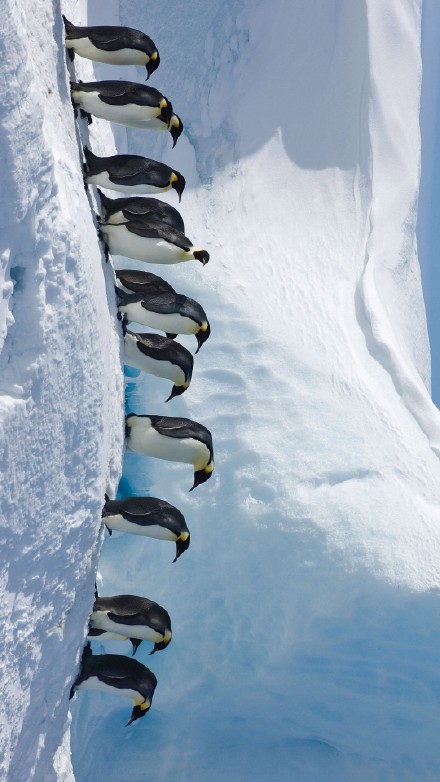 里邊請的個人主頁（背景預(yù)覽） - 主頁背景設(shè)置 - 站酷設(shè)計(jì)師里邊請?jiān)瓌?chuàng)素材 - 站酷ZCOOL