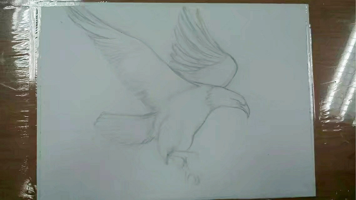 写实~鹰（图ZMTk2NjU0MDA0） - 艺术插画 - 站酷设计师独怜幽草原创素材 - 站酷ZCOOL