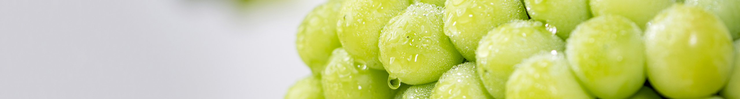 90V文化的个人主页（封面预览） - 主页封面设置 - 站酷设计师90V文化原创素材 - 站酷ZCOOL