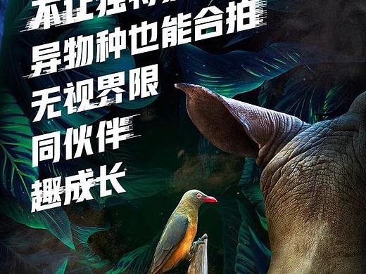 时趣互动校招海报/h5