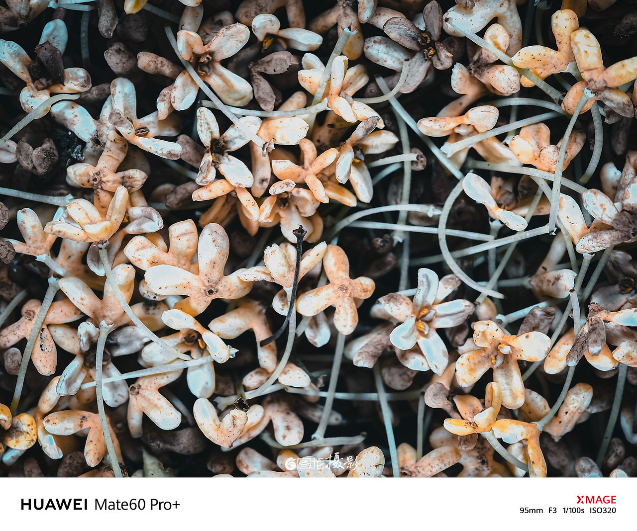 治愈人心的乡野田间， 是关于我们的归属（图ZMzYwNDQ1NzQ0） - 风光摄影 - 站酷设计师图龙摄影原创素材 - 站酷ZCOOL