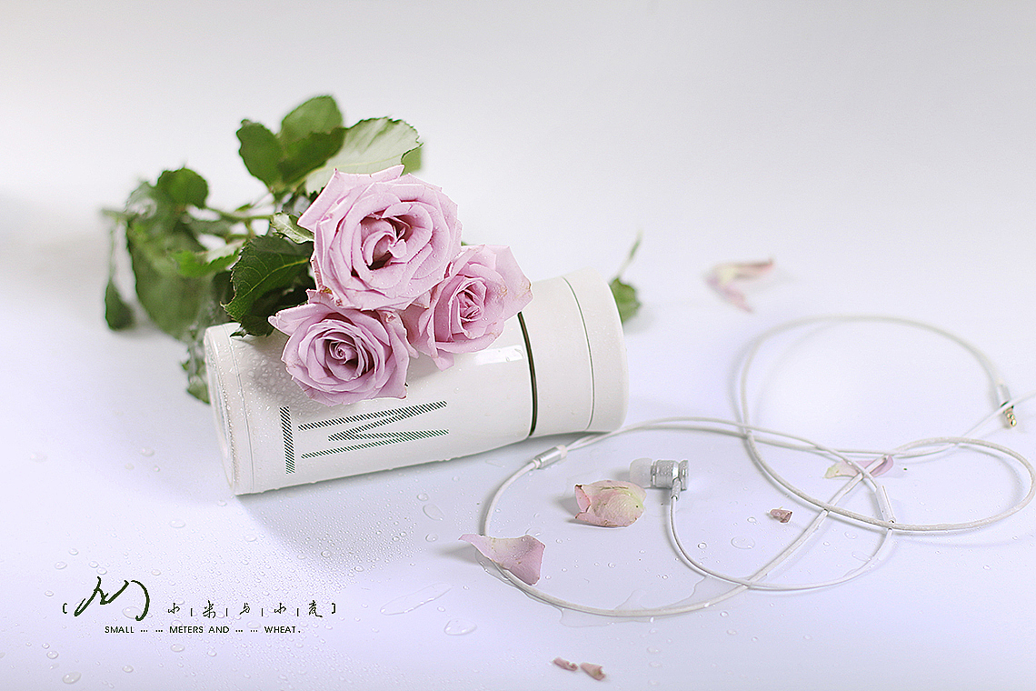 Flower-紫精灵（图ZOTc2MjE0NjQ=） - 产品摄影 - 站酷设计师小米与小麦原创素材 - 站酷ZCOOL