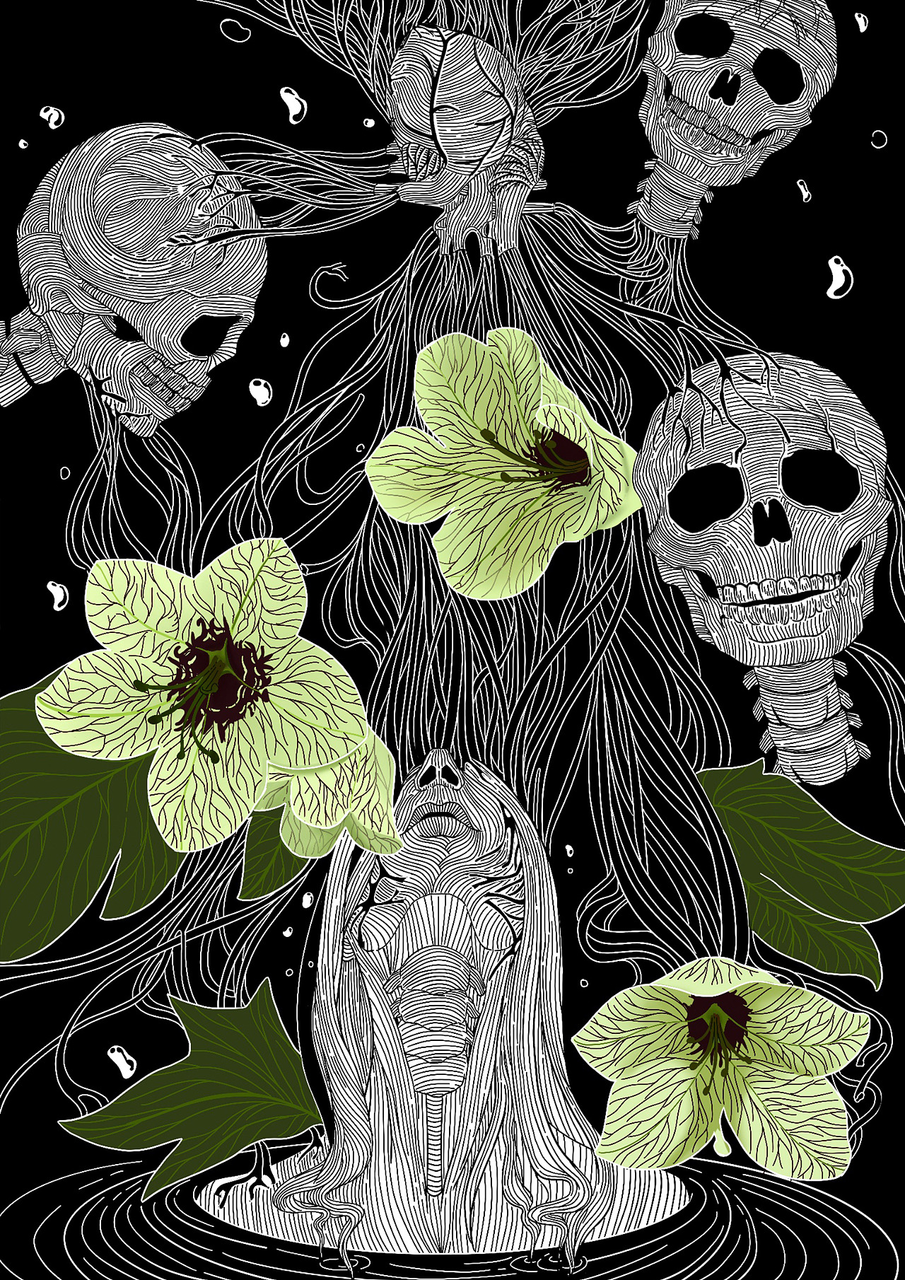 《花与阴暗面》系列插画作品