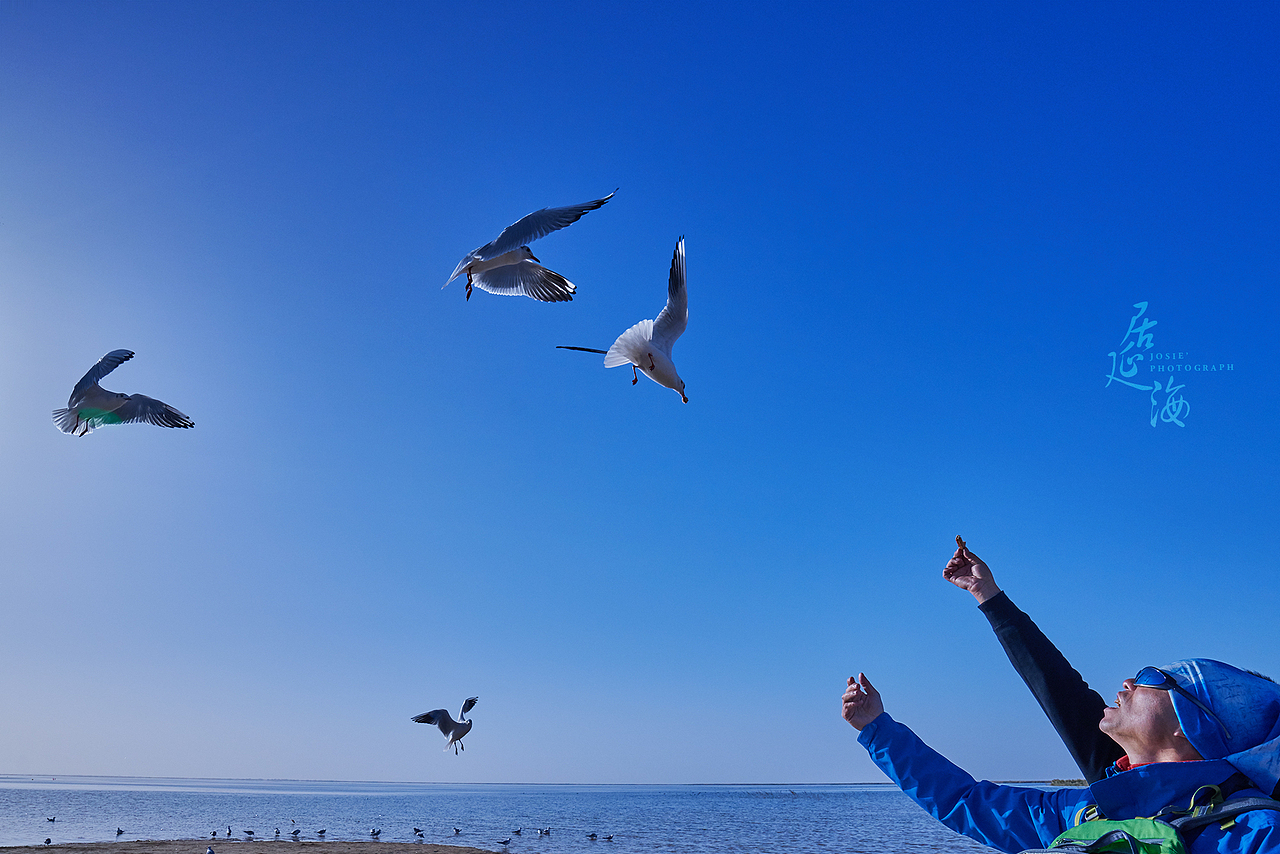 西出阳关 北过居延 行之万里（图ZMzkxODE0NzI=） - 风光摄影 - 站酷设计师晓若xiaoruo原创素材 - 站酷ZCOOL