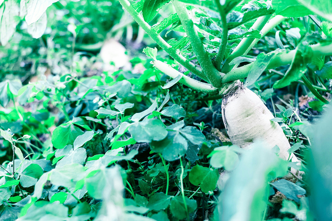 新年随手拍拍拍