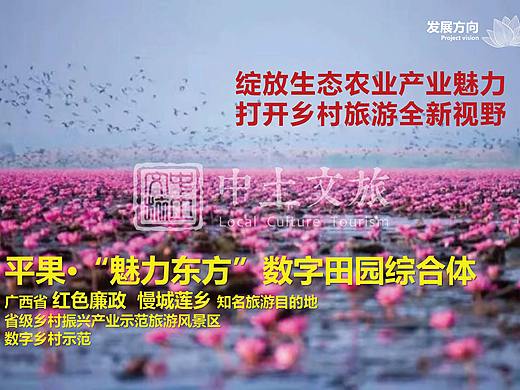 乡村振兴|广西“魅力东方”田园综合体规划