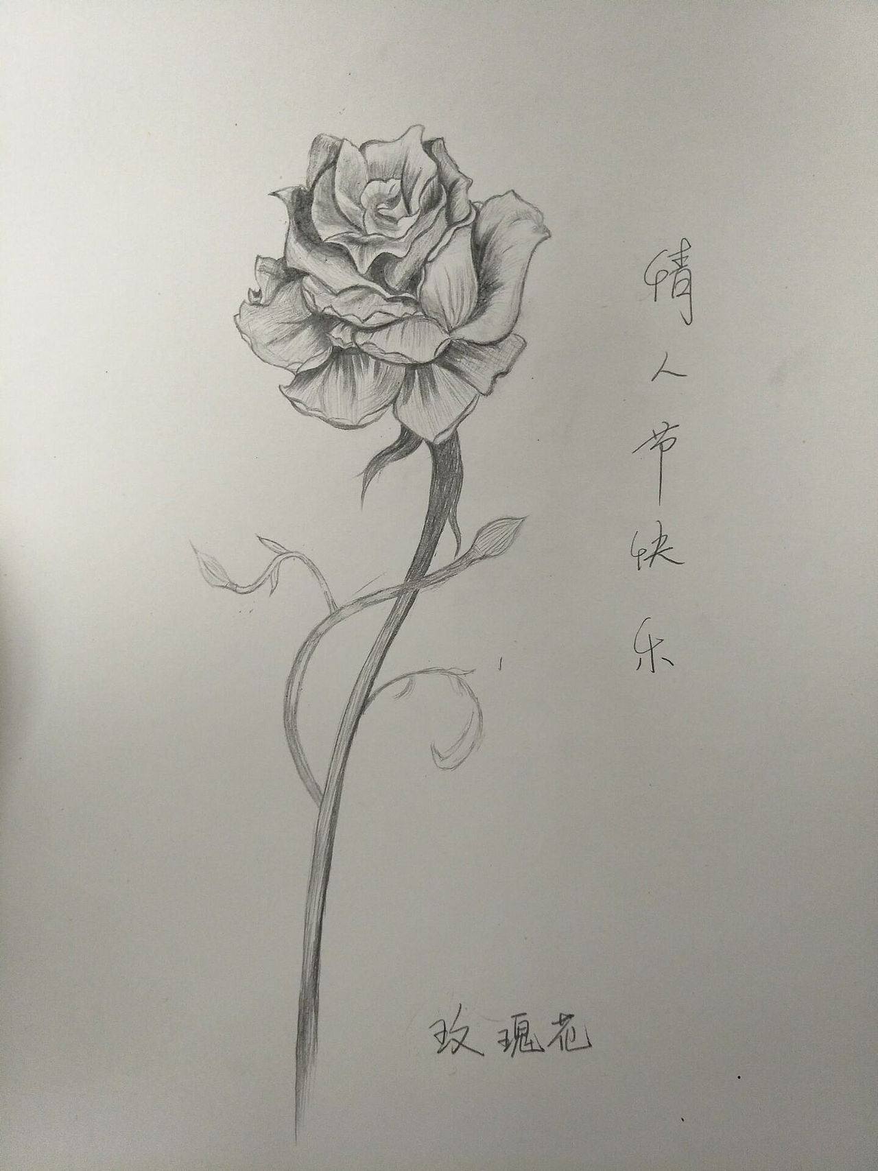 手绘临摹作品
