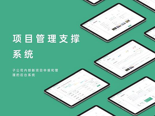 项目管理支撑系统-为某国企公司设计