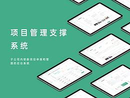 项目管理支撑系统-为某国企公司设计