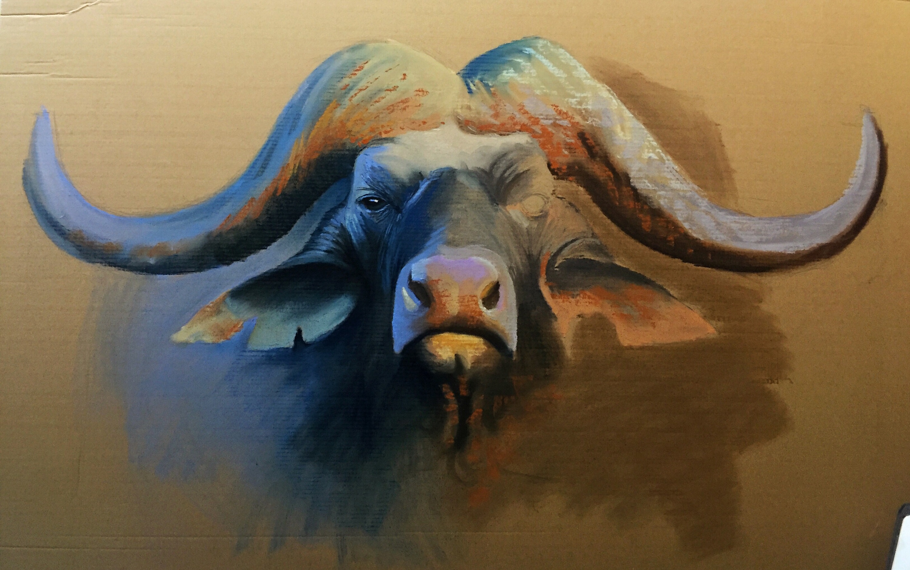 非洲野牛|纯艺术|其他艺创|张云凯 - 原创作品 - 站酷 (ZCOOL)