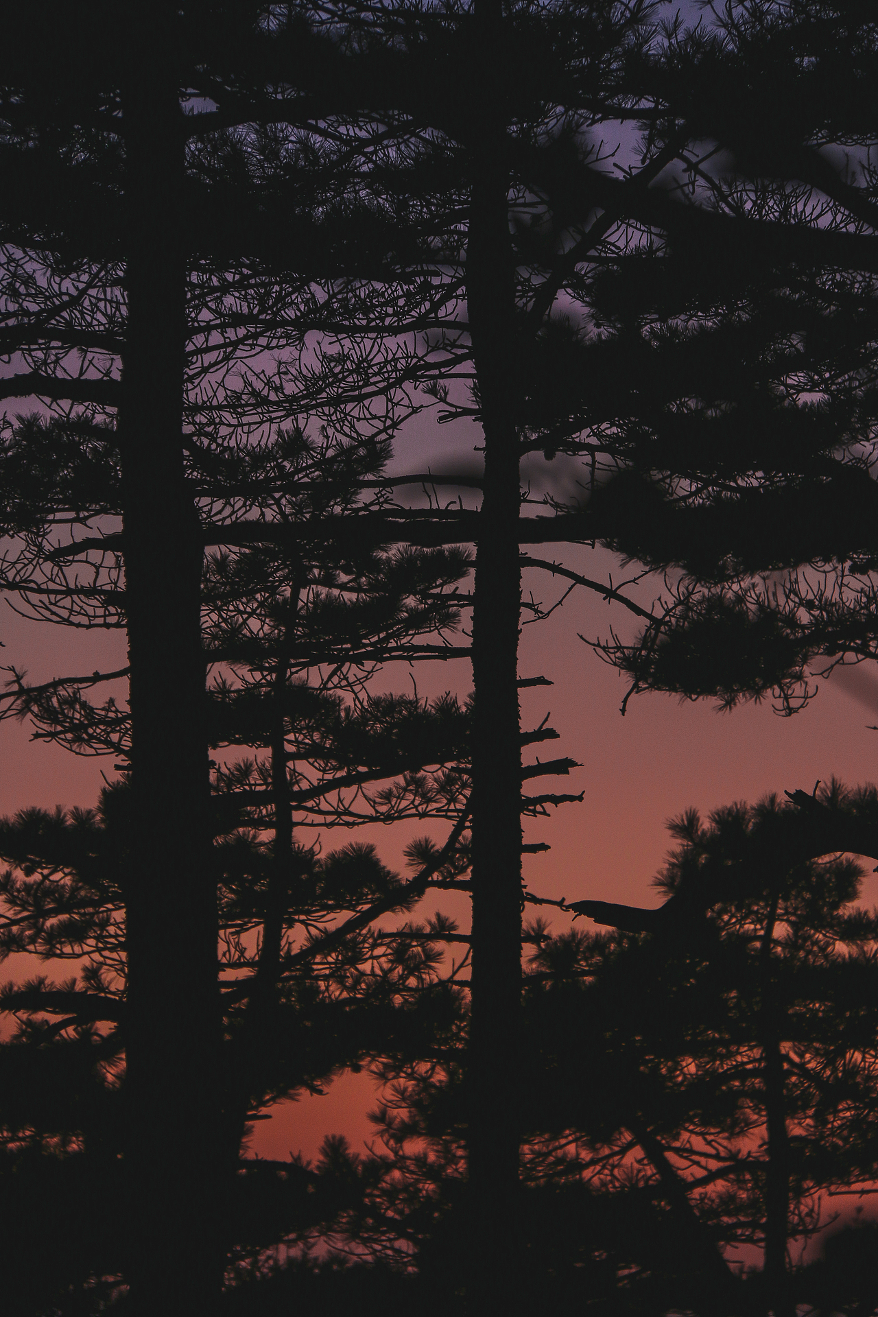 徽峦（图ZMjQ1MzQ3NjA4） - 风光摄影 - 站酷设计师羊毛礦視物所原创素材 - 站酷ZCOOL