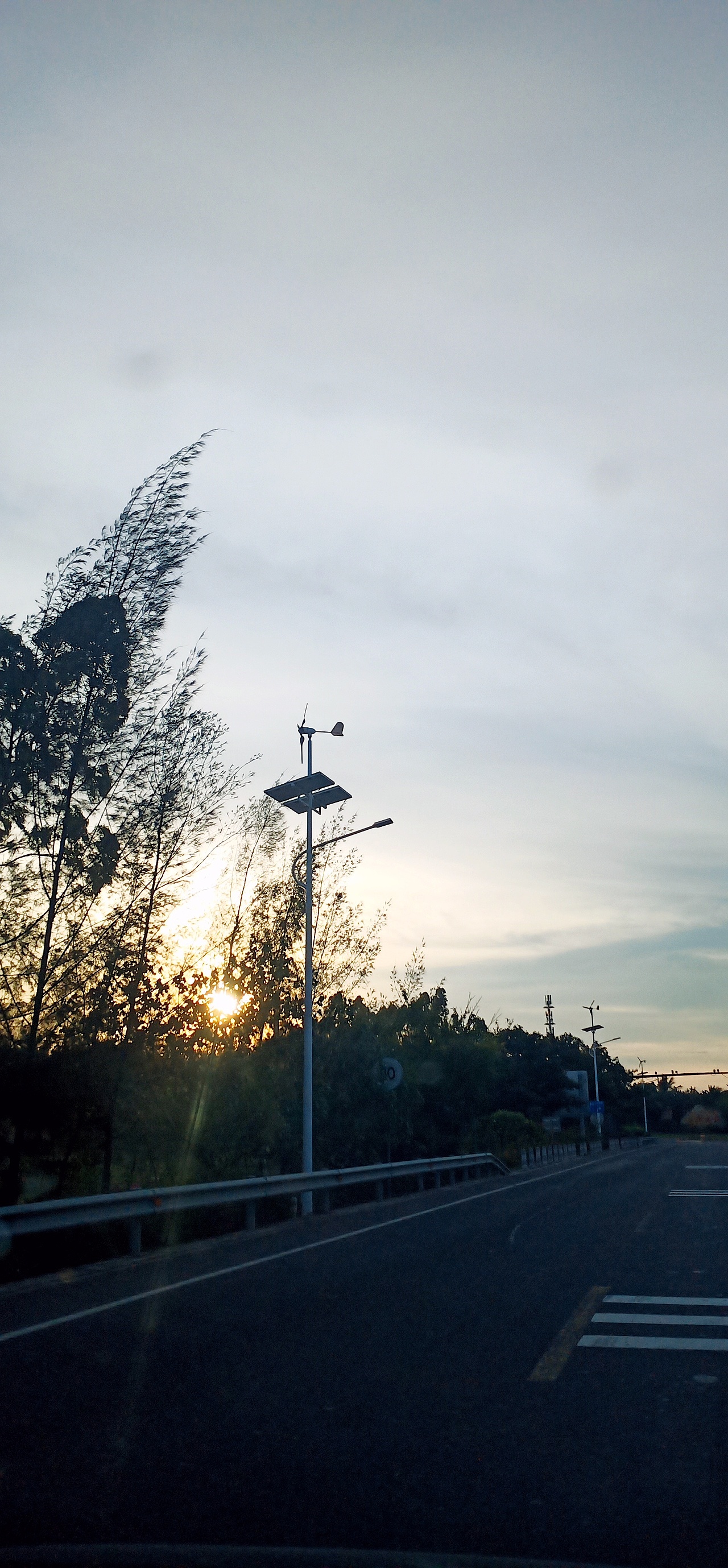 青山绿水就是金山银山