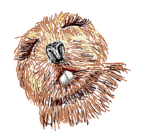 動(dòng)物1（圖ZMjEyNDk4MDg=） - 藝術(shù)插畫 - 站酷設(shè)計(jì)師木立水原創(chuàng)素材 - 站酷ZCOOL