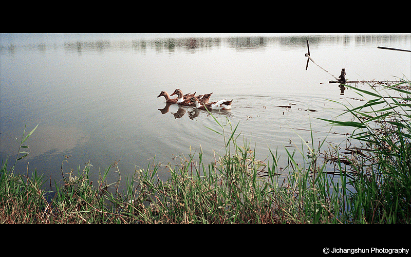 生活在情怀里（图ZMjE0OTY1NDg=） - 风光摄影 - 站酷设计师觉纪原创素材 - 站酷ZCOOL
