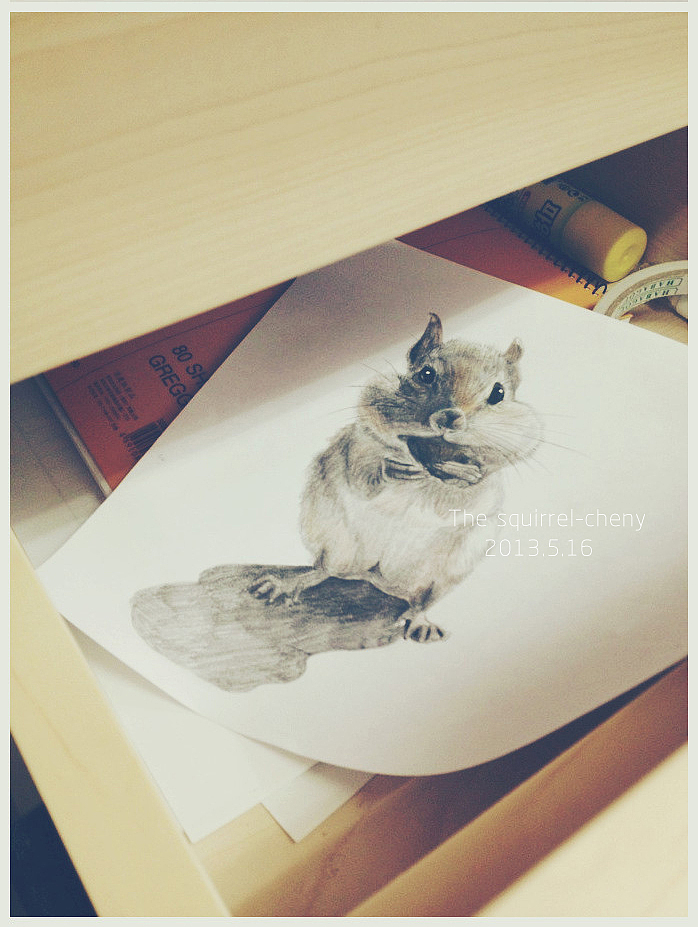 手绘松鼠-自动铅笔+彩铅点缀（图ZOTU4NjMwOA==） - 艺术插画 - 站酷设计师森林里的大猫原创素材 - 站酷ZCOOL