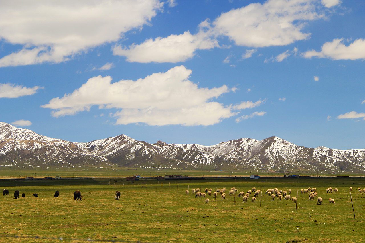 青海行（图ZMTAyNjI0MDQ=） - 风光摄影 - 站酷设计师vaggalee原创素材 - 站酷ZCOOL