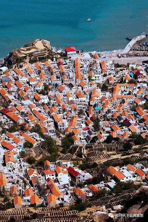 崂山三宝 一户一海米 一户一蛤 