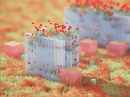 二小毛的2019總結(jié)