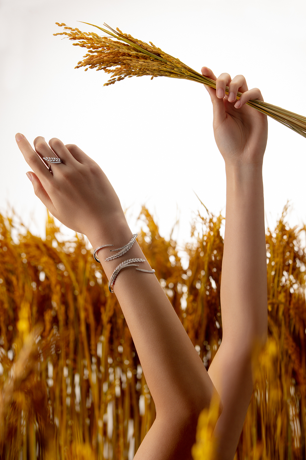 稻香珠宝系列产品形象片（图ZMTg1NjYxNzcy） - 产品摄影 - 站酷设计师之其上原创素材 - 站酷ZCOOL