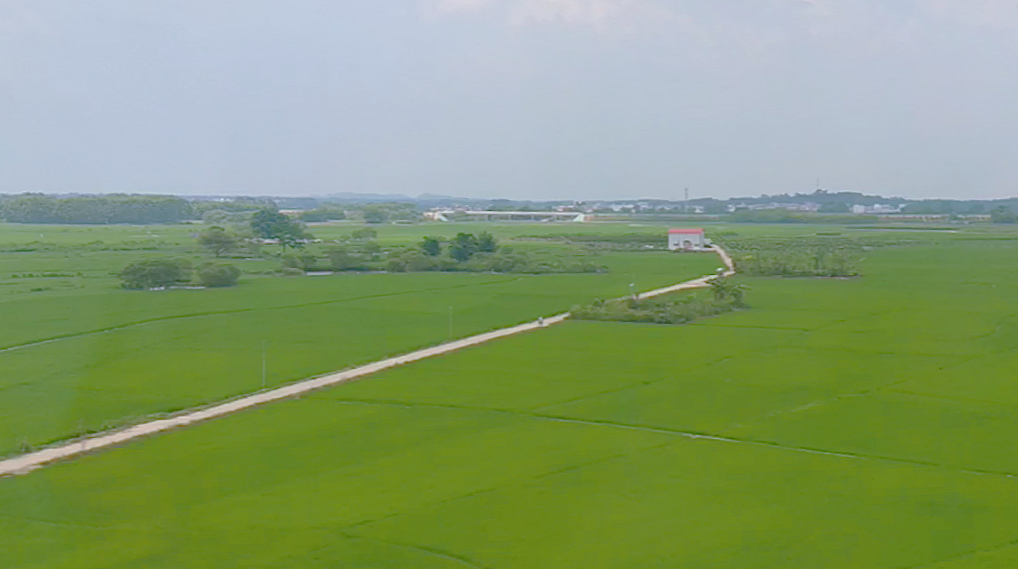 青色（图ZMTkyNzIzOTc2） - 人文/纪实摄影 - 站酷设计师可以的哦原创素材 - 站酷ZCOOL