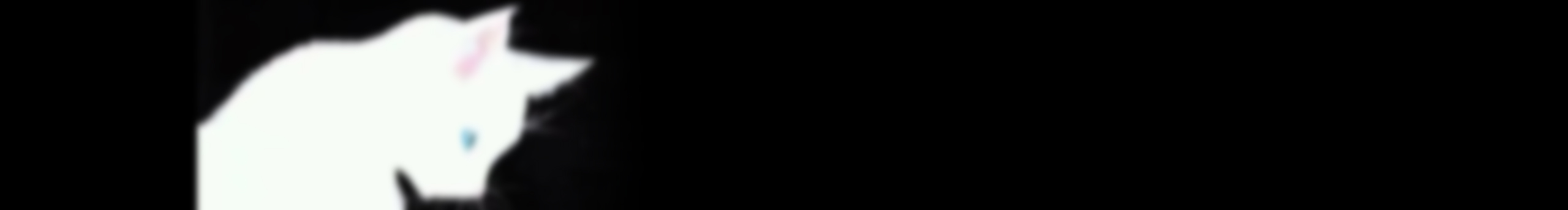 白豆浆的个人主页（封面预览） - 主页封面设置 - 站酷设计师白豆浆原创素材 - 站酷ZCOOL