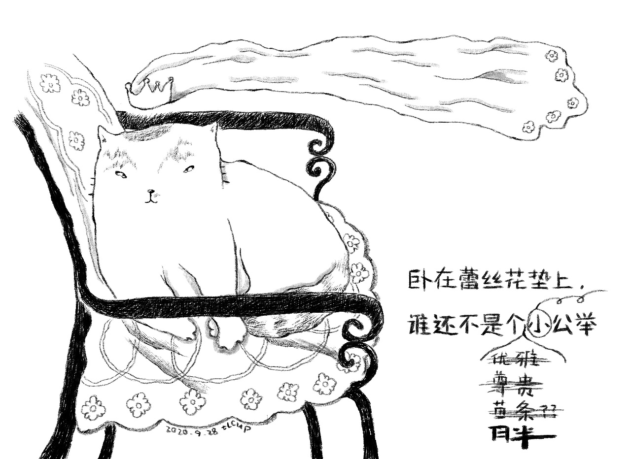 每日一猫小涂合集