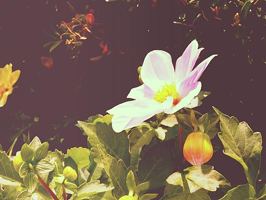 小拍一日（個(gè)人主頁(yè)-ZMzM0NTIzNDg=） - 風(fēng)光攝影 - 站酷設(shè)計(jì)師阿慶吖原創(chuàng)素材 - 站酷ZCOOL