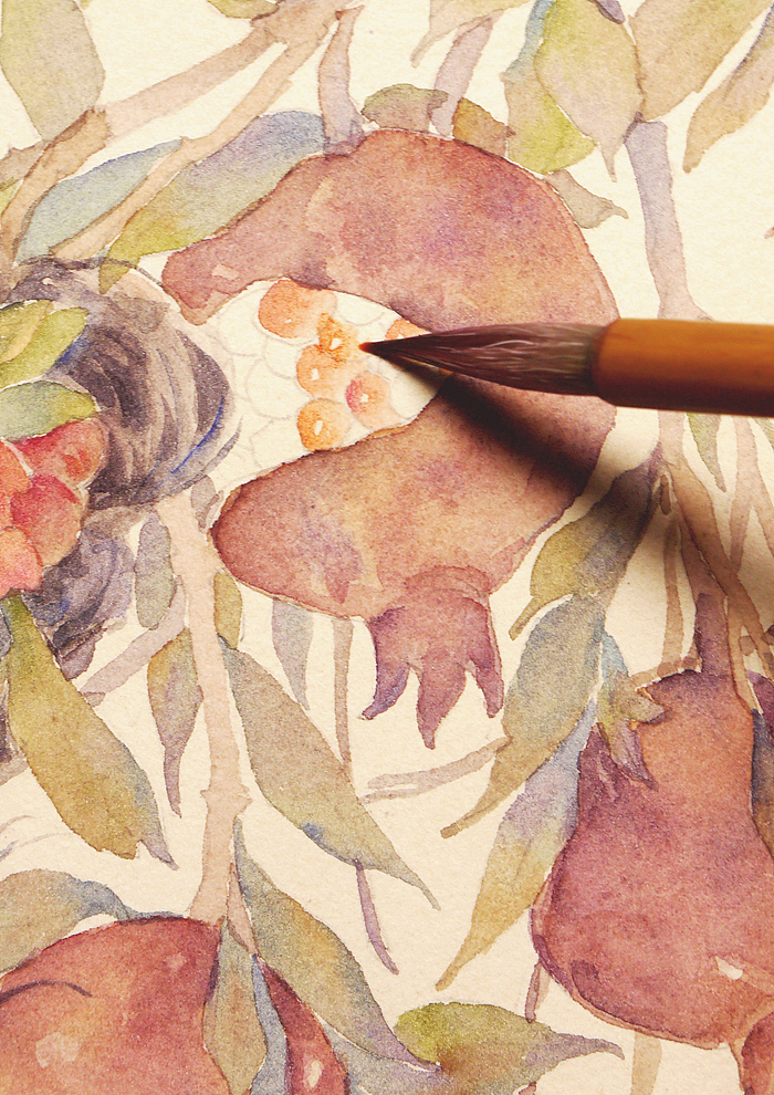 石榴红满（图ZOTcxMjY1MDA=） - 商业插画 - 站酷设计师红花HONGHUA原创素材 - 站酷ZCOOL