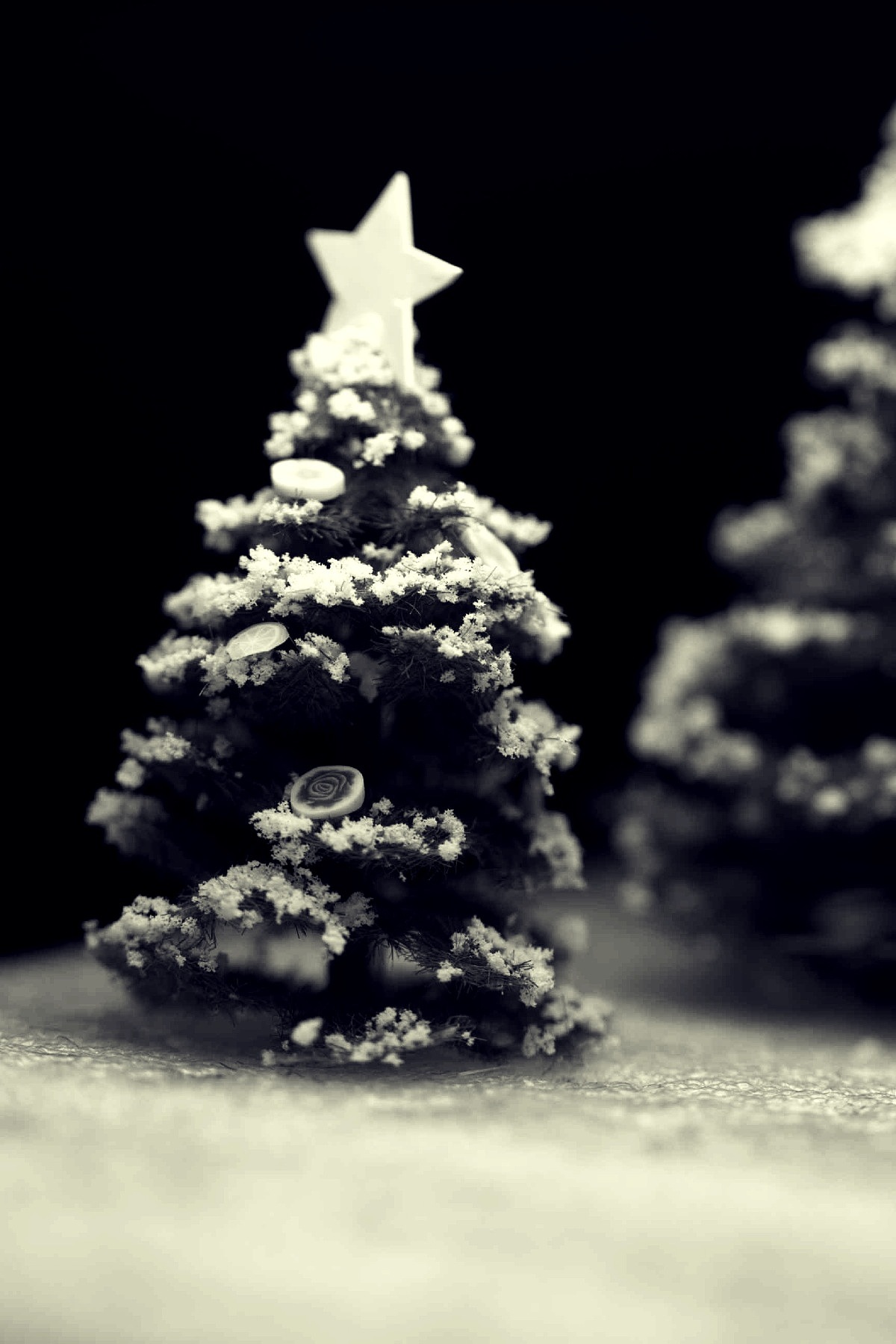 Merry Christmas（图ZMTMxNzEzMzY=） - 手办/模玩 - 站酷设计师井里一只鱼原创素材 - 站酷ZCOOL