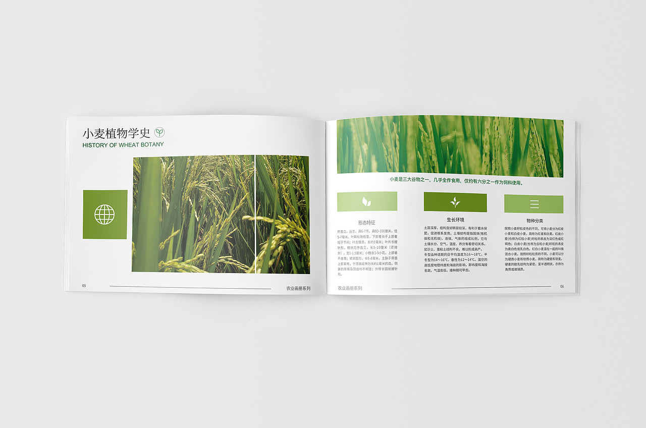 农业画册设计（图ZMjUwNzc4OTk2） - 宣传物料 - 站酷设计师JERSEY卐原创素材 - 站酷ZCOOL