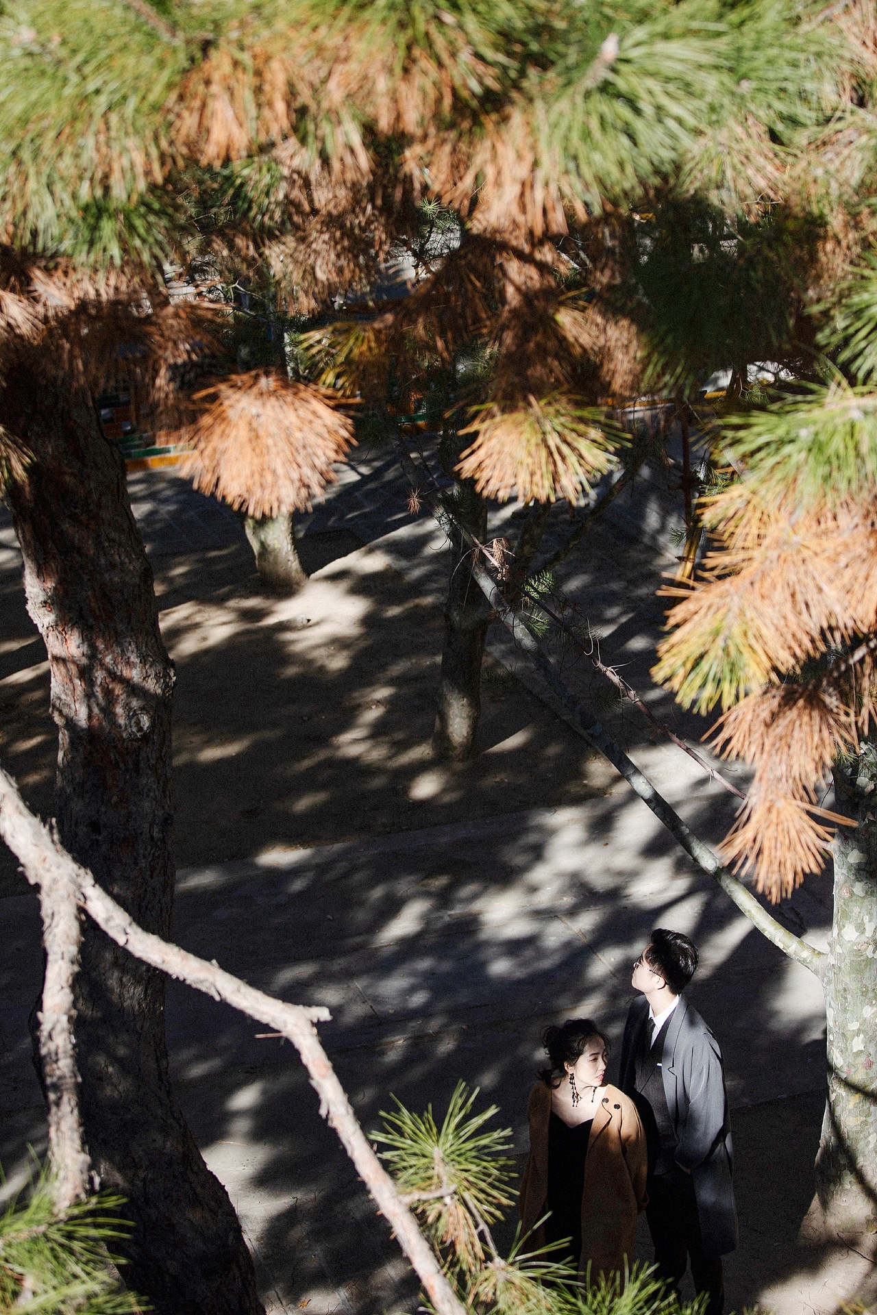 光影下的爱情总让人心动不已