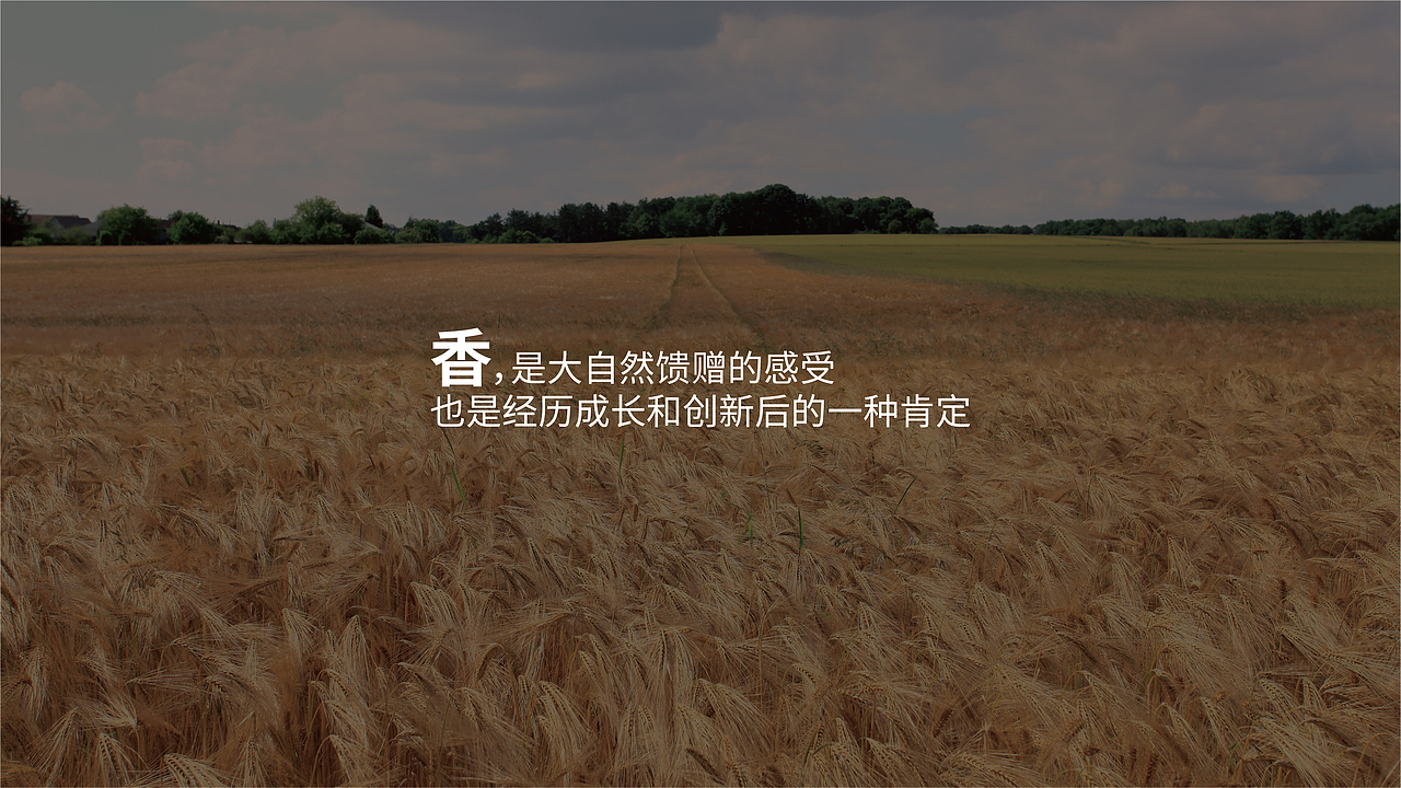 2021年稻本香提案（上半部）（图ZMzIyMjMxODY0） - 品牌 - 站酷设计师JAYSONWANGdesign原创素材 - 站酷ZCOOL